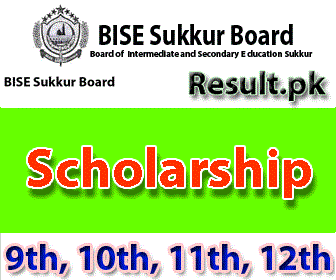 bisesuksindh Scholarships 2024 class 12th, SSC, 9th, 10th, 11th, Matric, Inter, HSSC, FA, FSC, Intermediate, SSC Part 1, SSC Part 2, Inter Part 1, Inter part 2, 1st year, 2nd year, ICS, ICOM